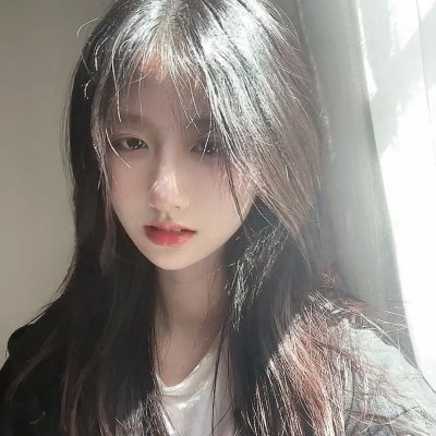 高速路上一只猫